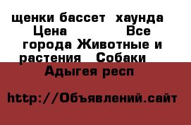 щенки бассет- хаунда › Цена ­ 20 000 - Все города Животные и растения » Собаки   . Адыгея респ.